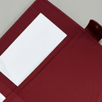Red Ikkat Print File Folder